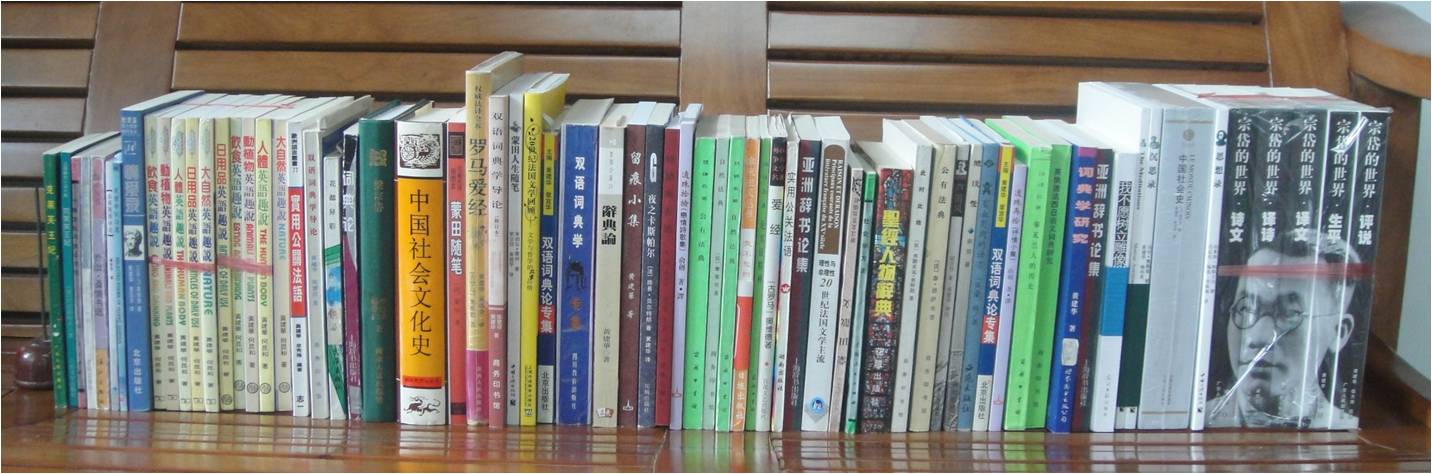 黄建华除文章外的部分著译 黄建华除文章外的部分著译